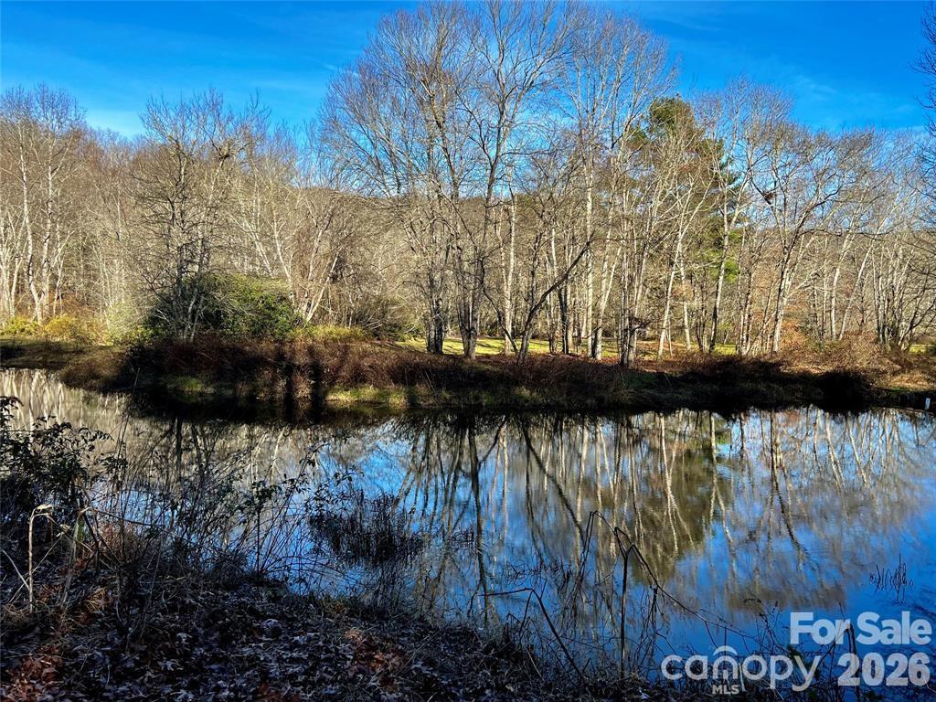 Lot 2 Sweetwater Ridge Rd., Balsam Grove, NC 28768