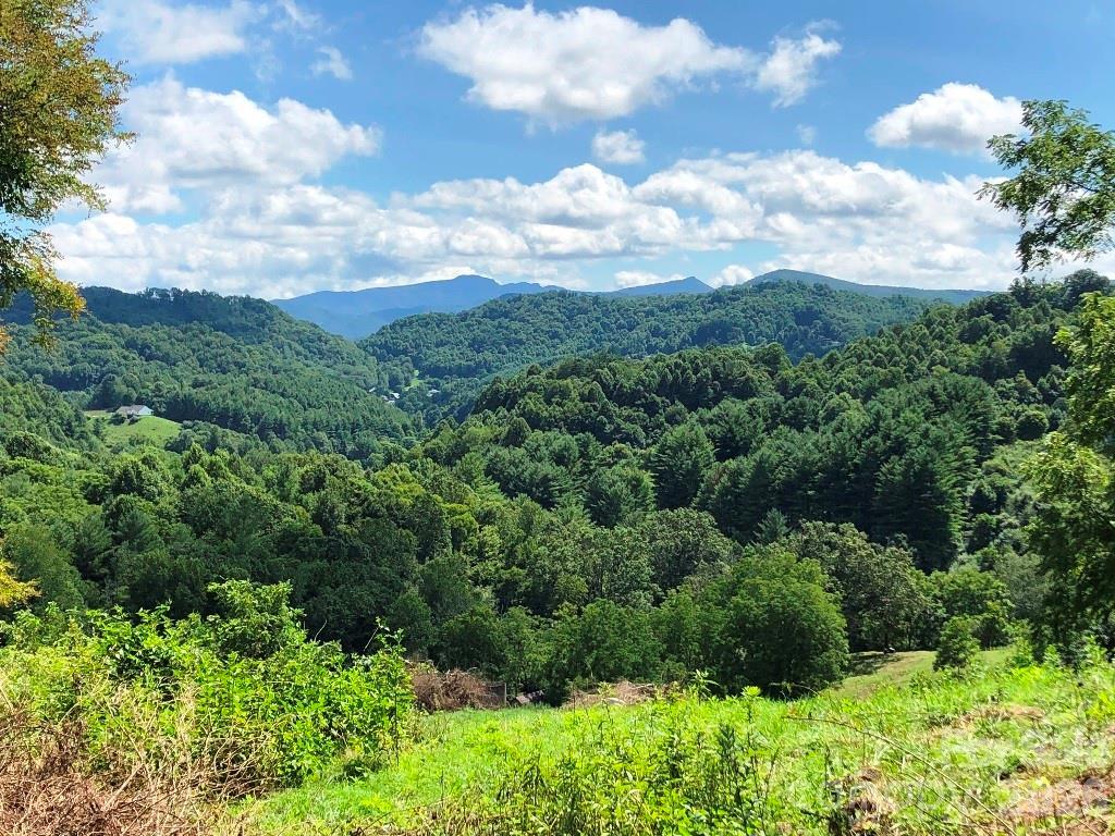 866 Georges Gap Rd., Vilas, NC 28692