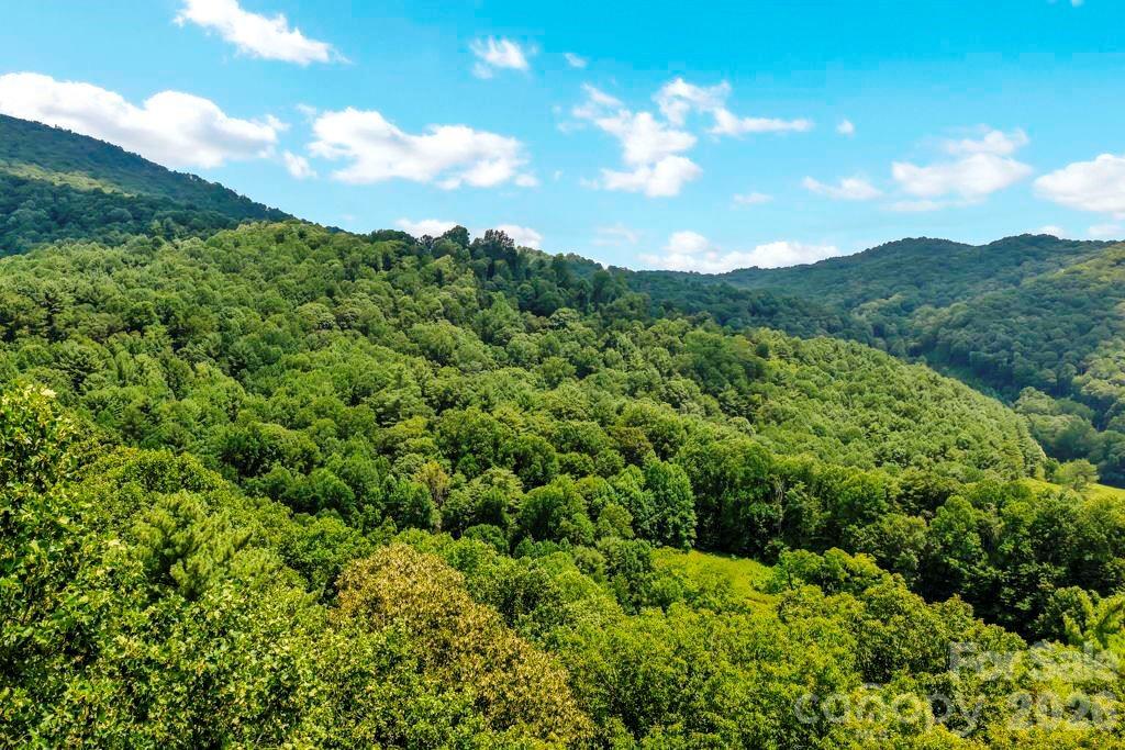 tbd Council Ward Rd., Sugar Grove, NC 28679