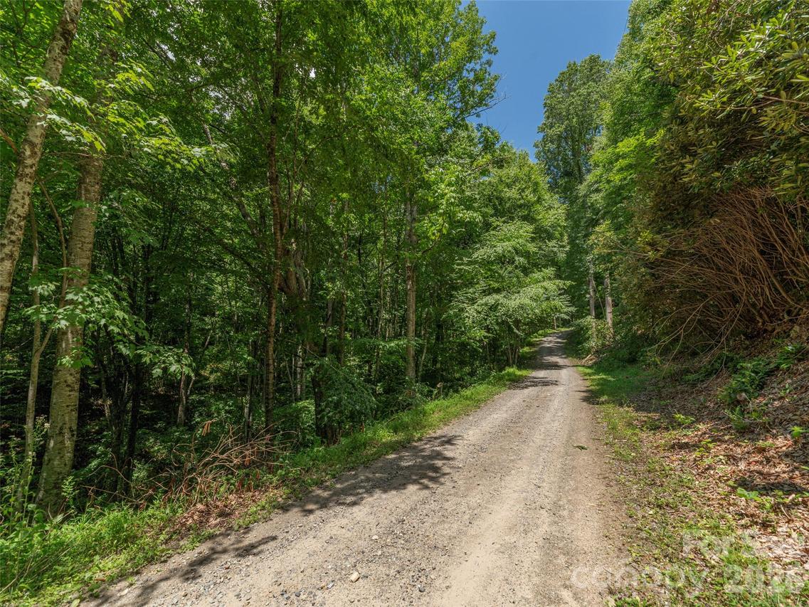 00 Rough Knob Rd., Clyde, NC 28721