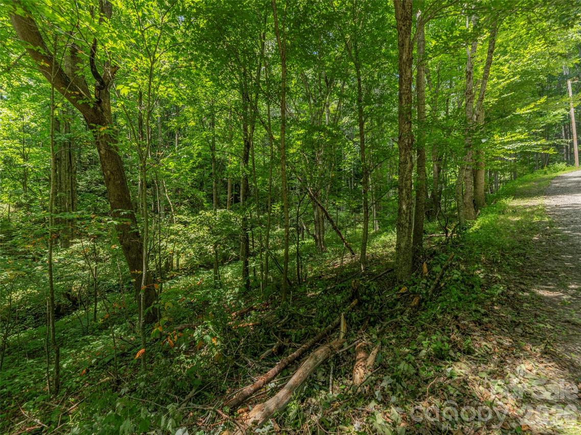 000 Rough Knob Rd., Clyde, NC 28721