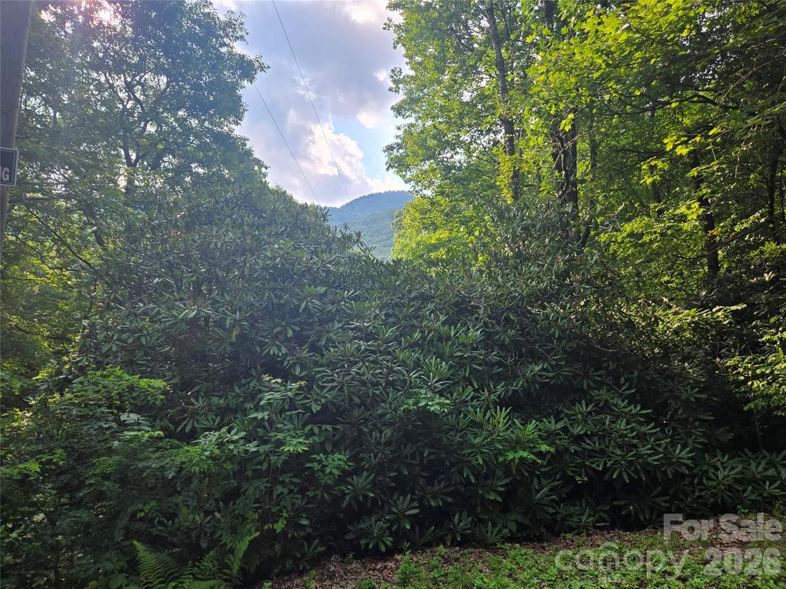 000 Greenspire Dr., Sylva, NC 28779