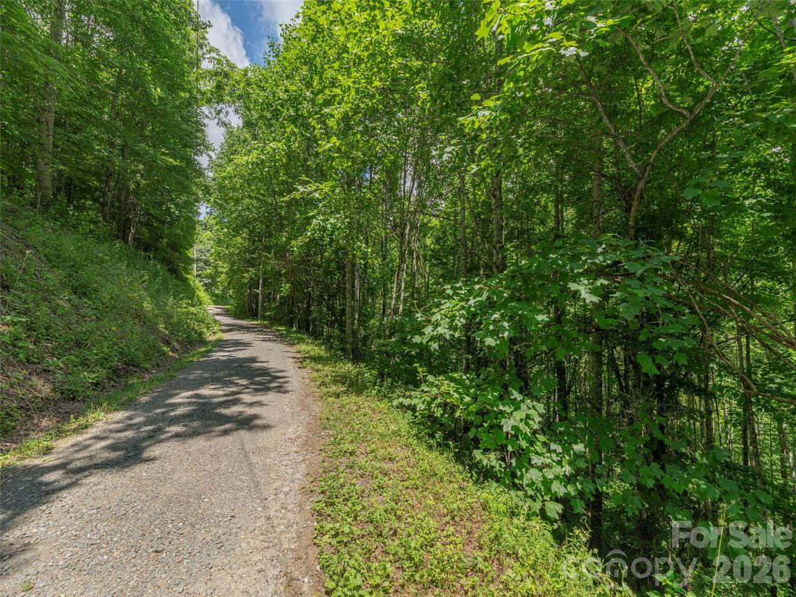 0000 Rough Knob Rd., Clyde, NC 28721