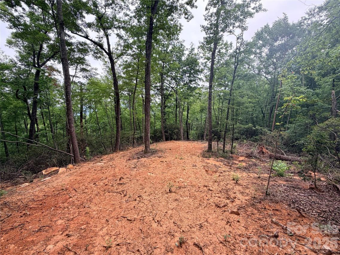 Harrison Dr., Lake Lure, NC 28746