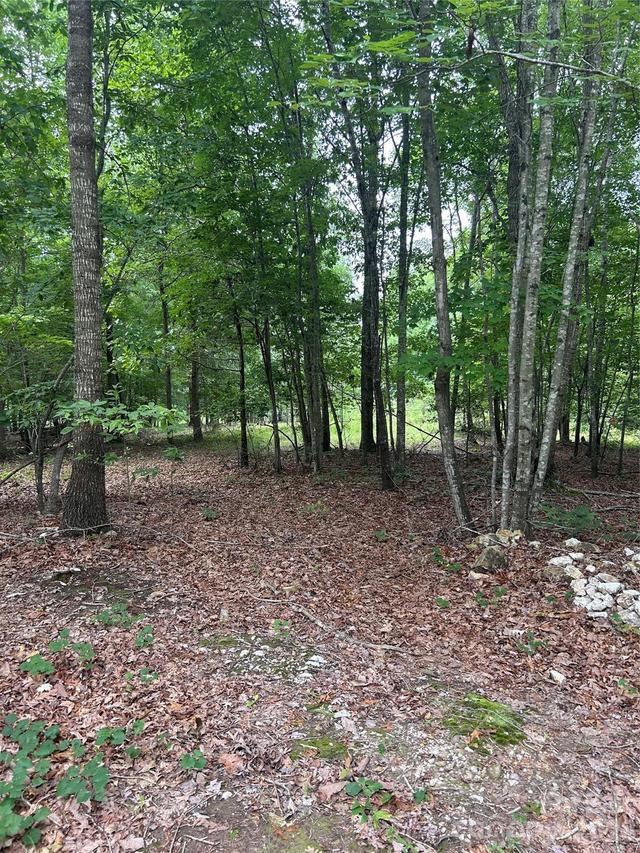 00 Wadeville Rd., Mount Gilead, NC 27306
