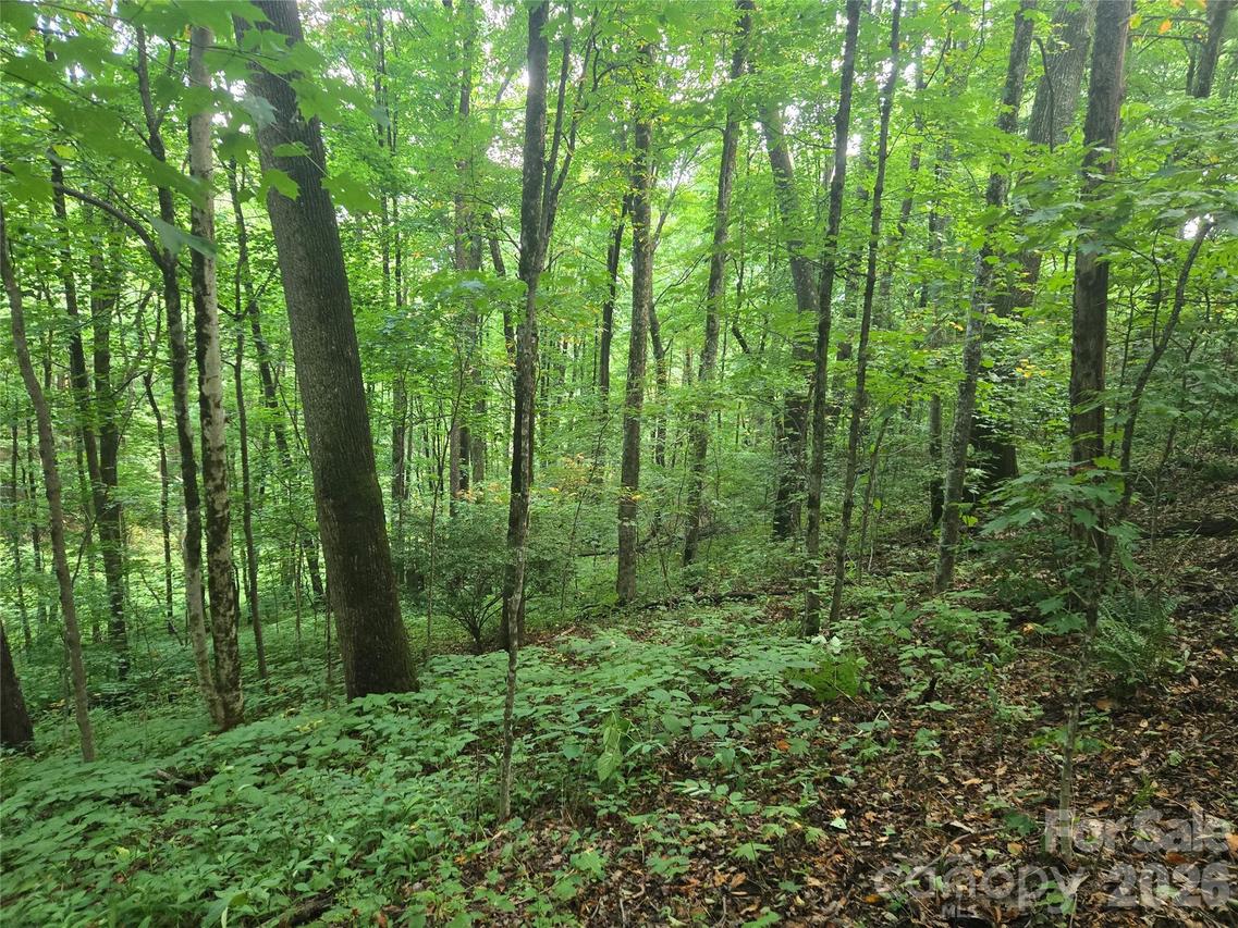 000 Rosemount Rd., Sylva, NC 28779