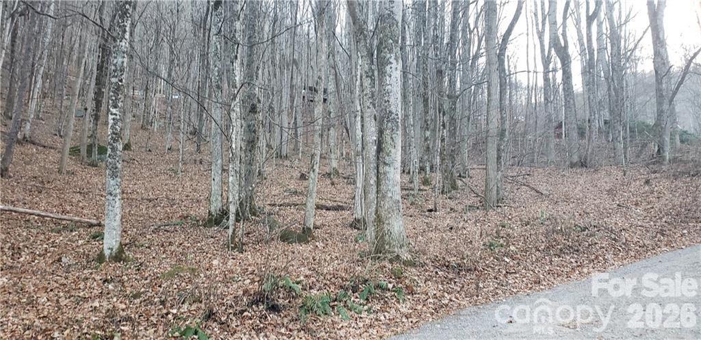 36 Miner Rd., Waynesville, NC 28785