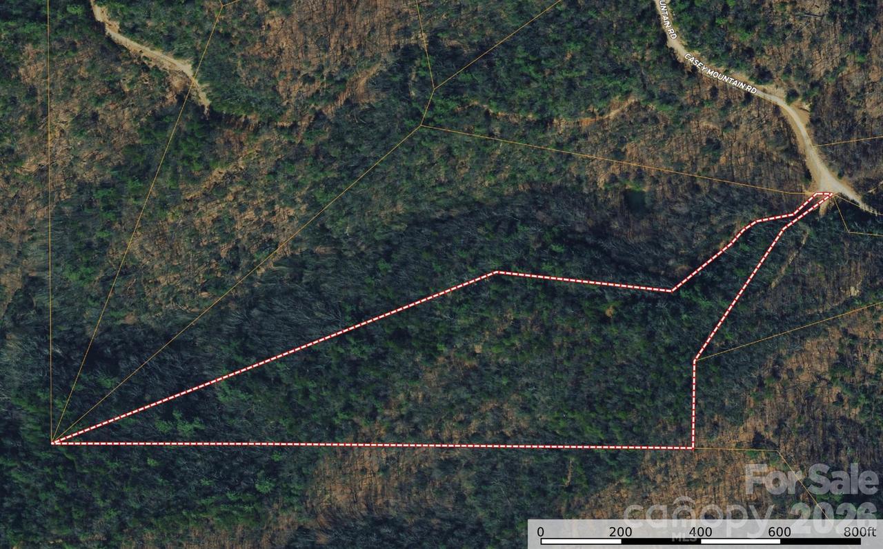 TBD Casey Mountain Rd. #222, Purlear, NC 28665
