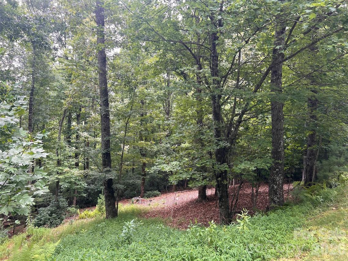 211 Tom Fazio Trace #342, Hendersonville, NC 28739