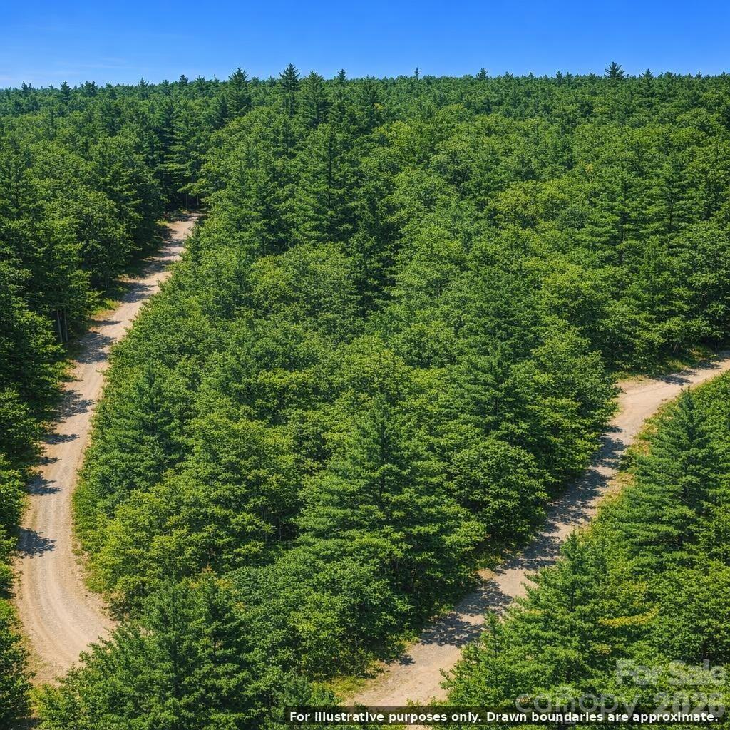 Lot 124 Trellis Dr., Nebo, NC 28761