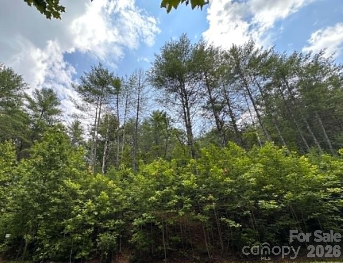 TBD Rock Cliff Dr., Collettsville, NC 28611