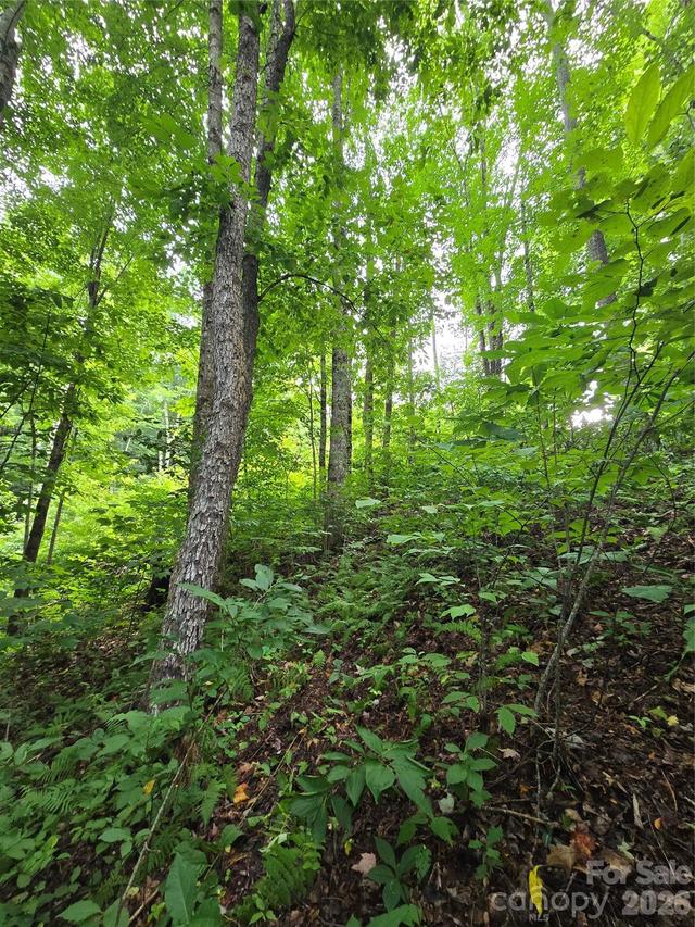 108 Tenderfoot Tr. #108 & 109, Maggie Valley, NC 28751