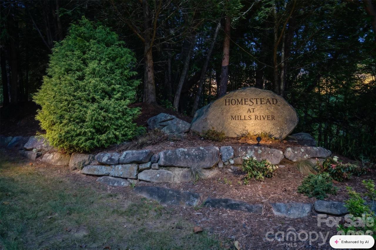 838 Mills River Way, Horse Shoe, NC 28742