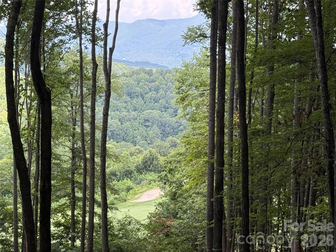 1781 High Line Rd. #63, Sylva, NC 28779