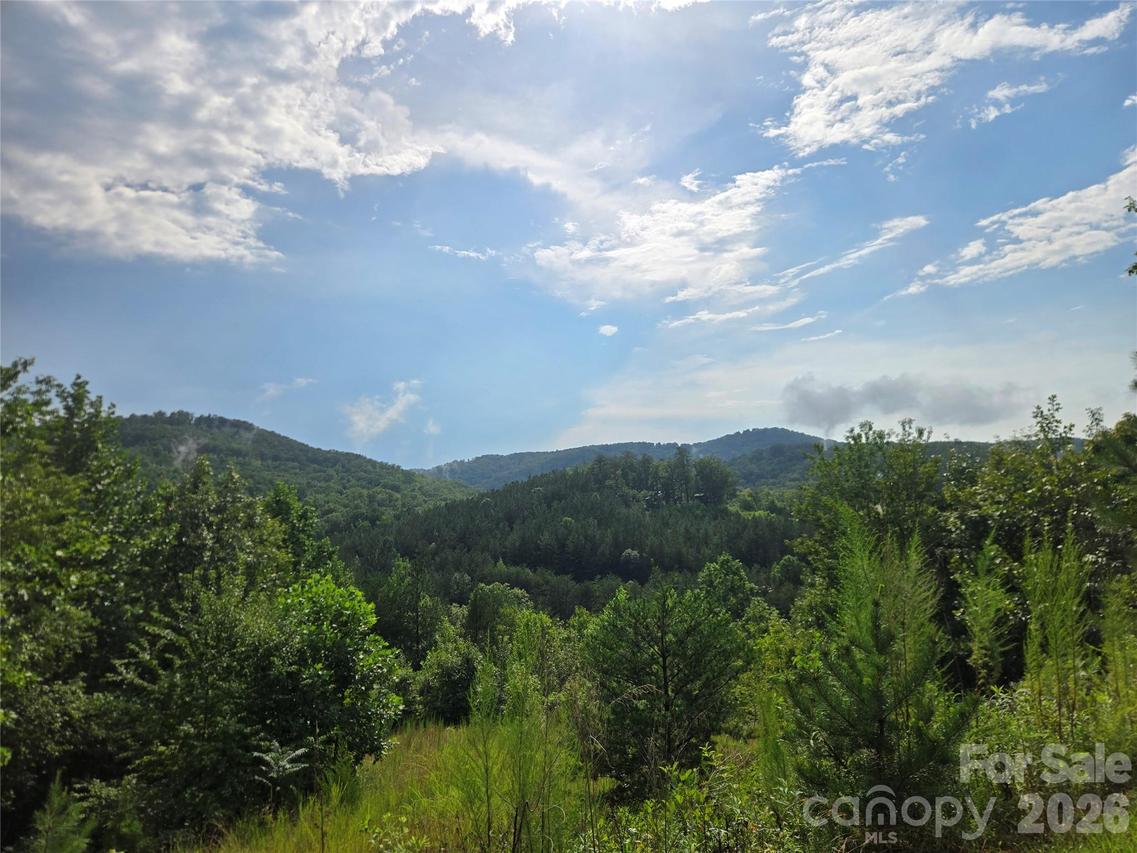 Pinegrove Dr. #161, Bostic, NC 28018