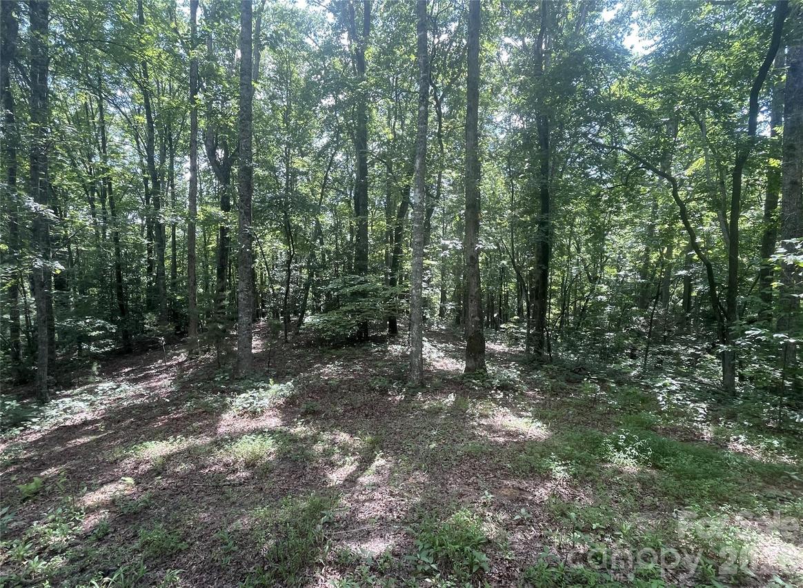 2060 Us 19 Hwy., Bryson City, NC 28713