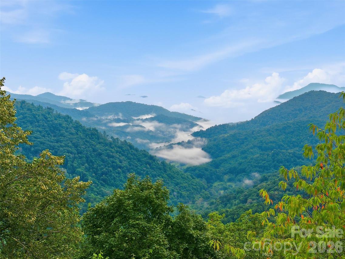 Lot 50 Running Cedar Dr., Mars Hill, NC 28754