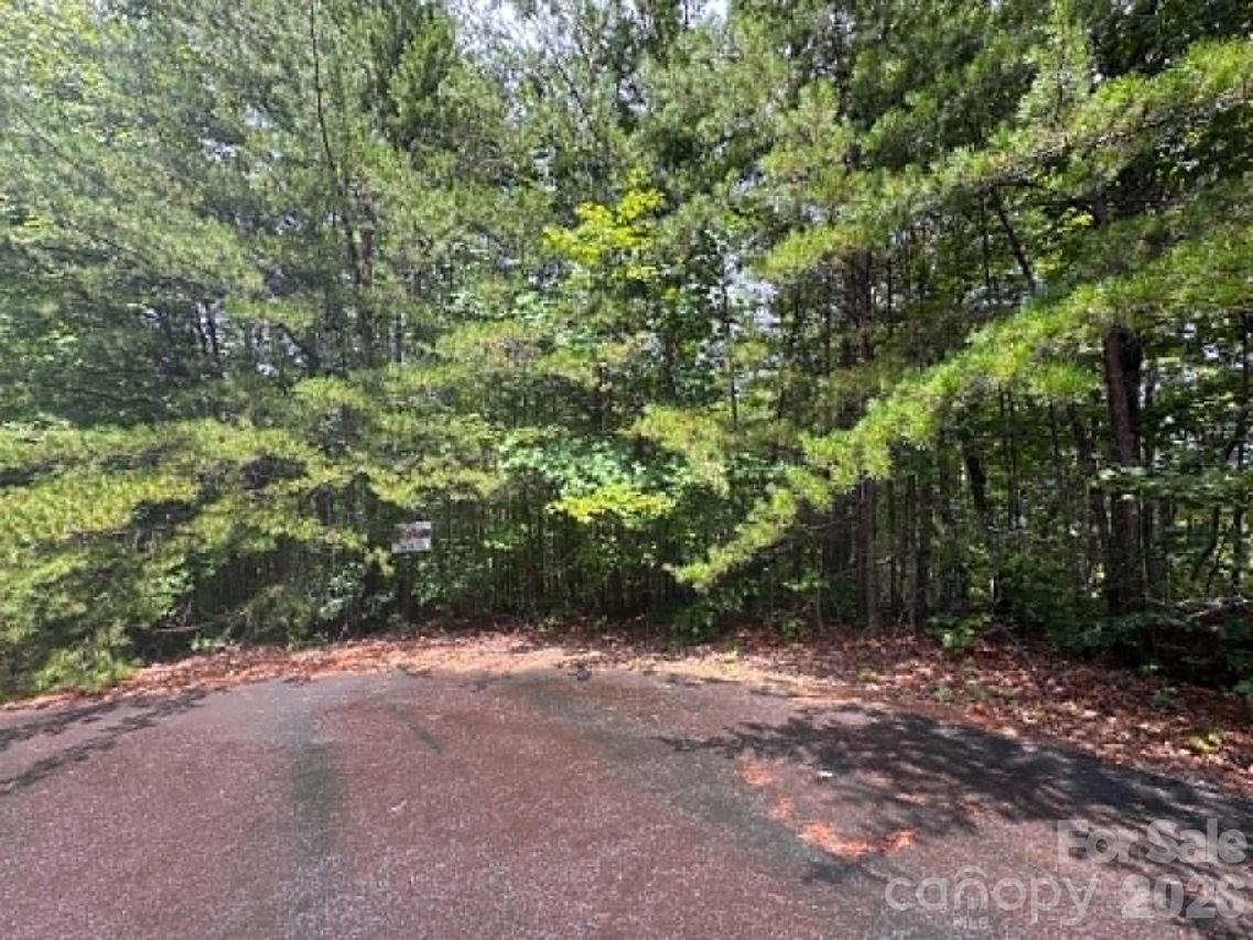TBD Fire Tower Rd., Bostic, NC 28018