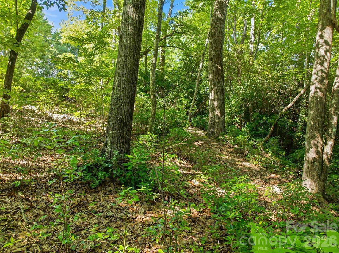 0000 Red Bud Ln. #3-F, Laurel Park, NC 28739