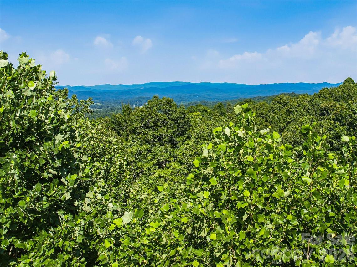 0000 Red Bud Ln. #3-F, Laurel Park, NC 28739