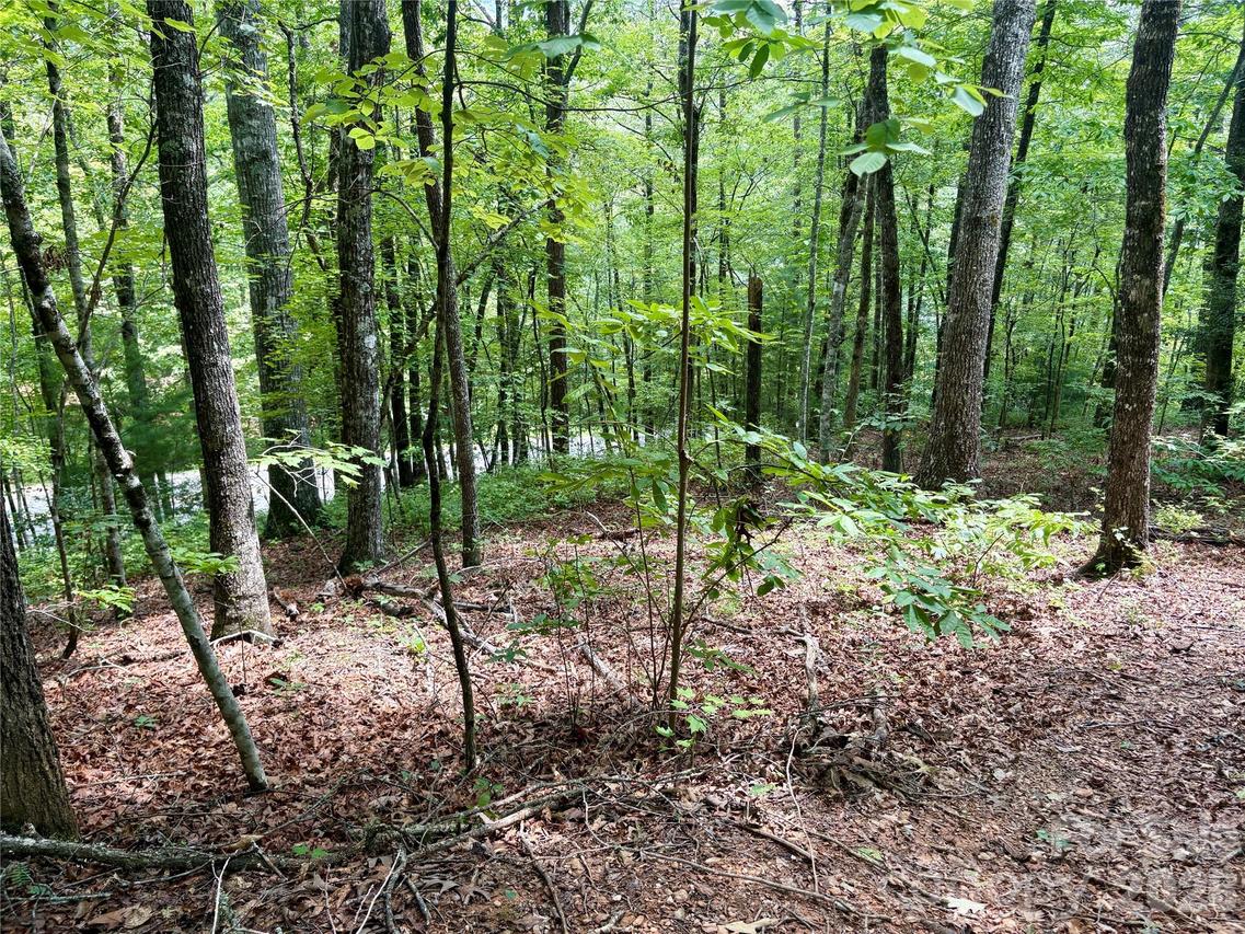 Watia Rd., Bryson City, NC 28713