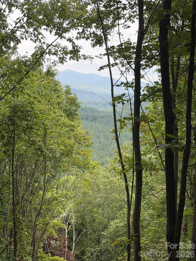 69 Idlewild Dr., Bostic, NC 28018