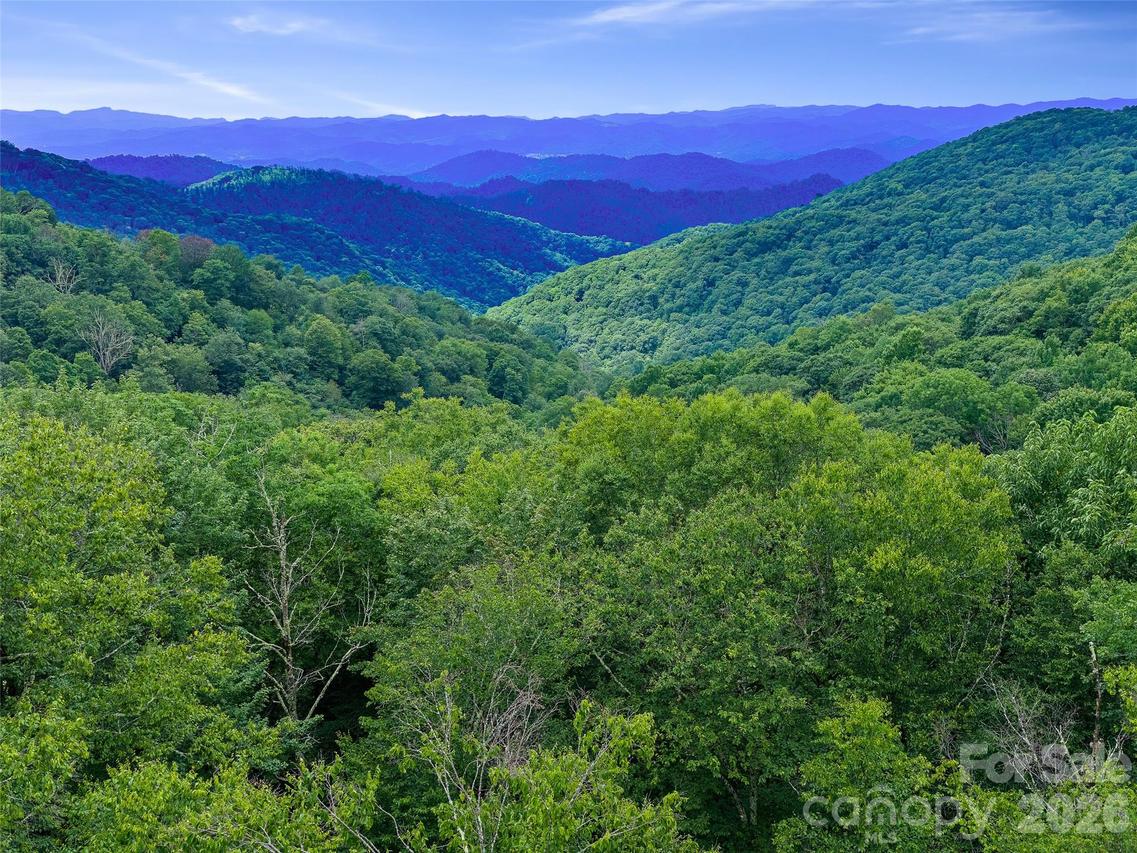 Ogle Meadows Rd. ##81, Burnsville, NC 28714
