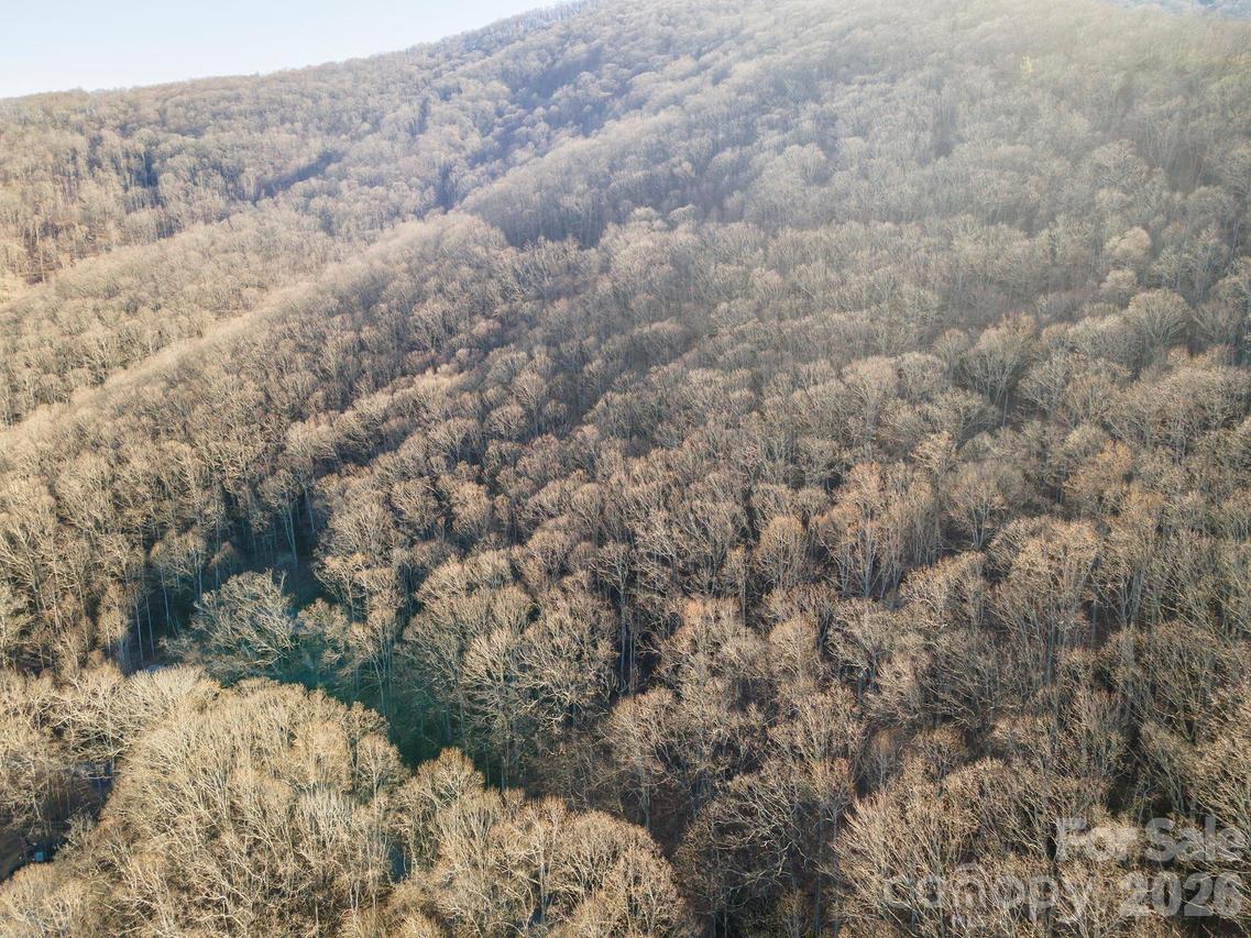 00 Wildflower Cove Rd. #18, Swannanoa, NC 28778