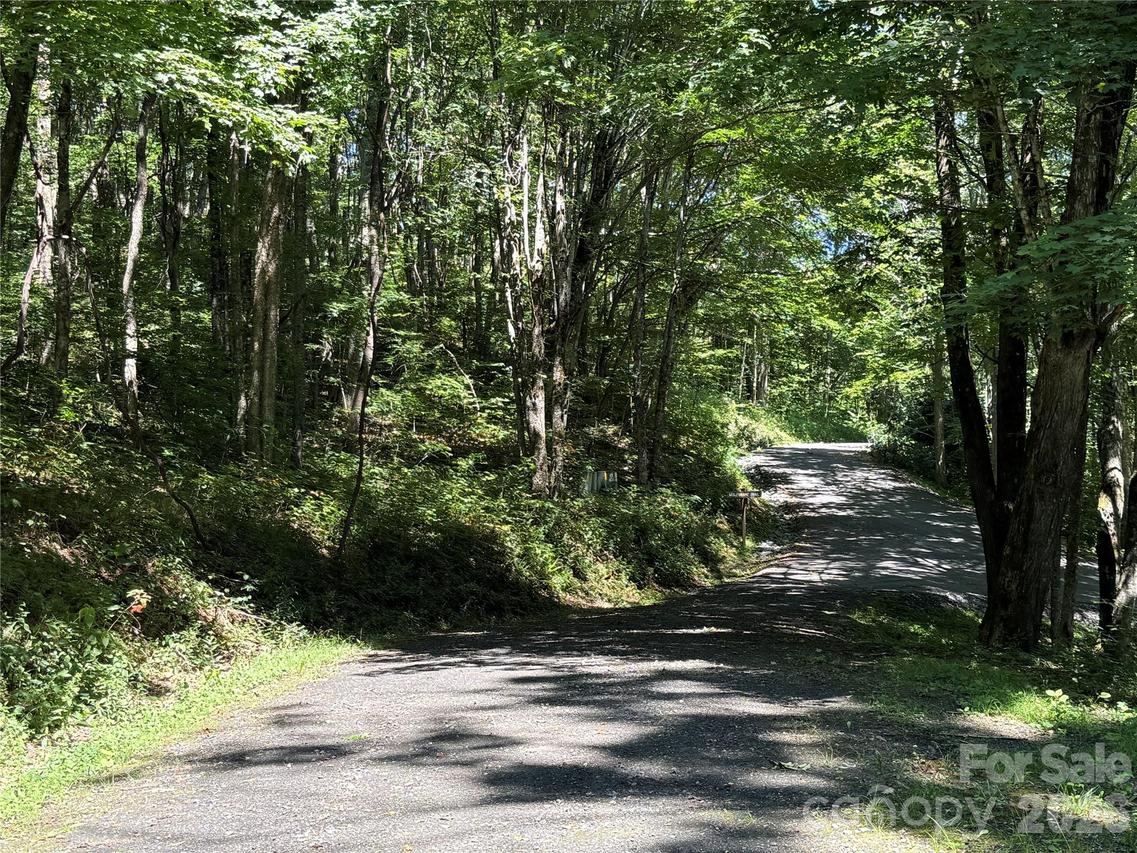 7 Wolfsbane Tr., Todd, NC 28684