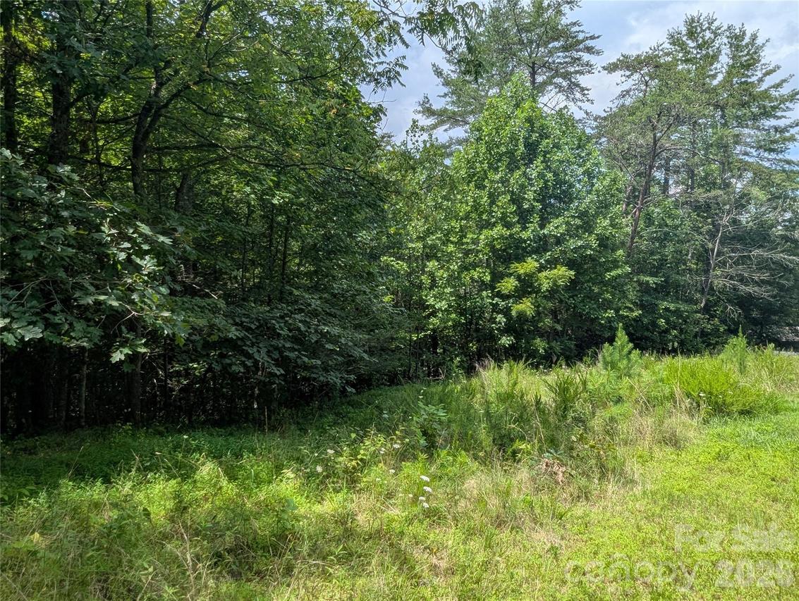 Austin Dr. #13, Marshall, NC 28753