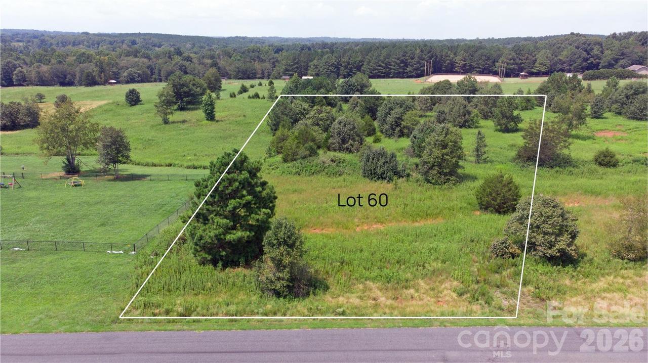 60 Malden Ct., Crouse, NC 28033