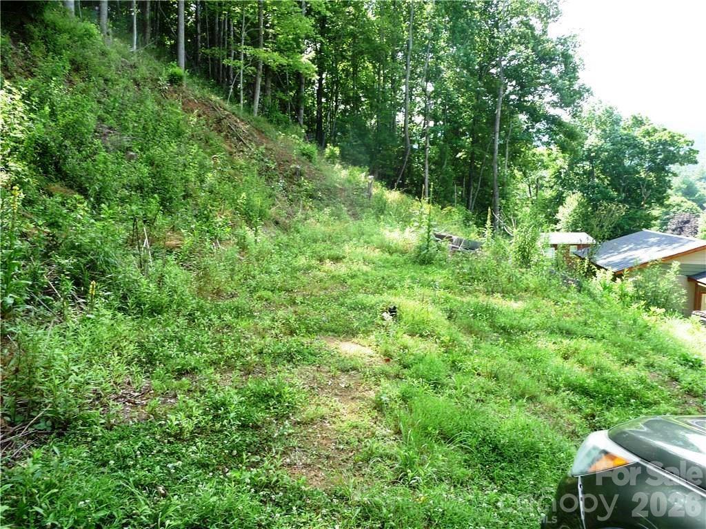 870 Bairds Creek Rd., Vilas, NC 28692