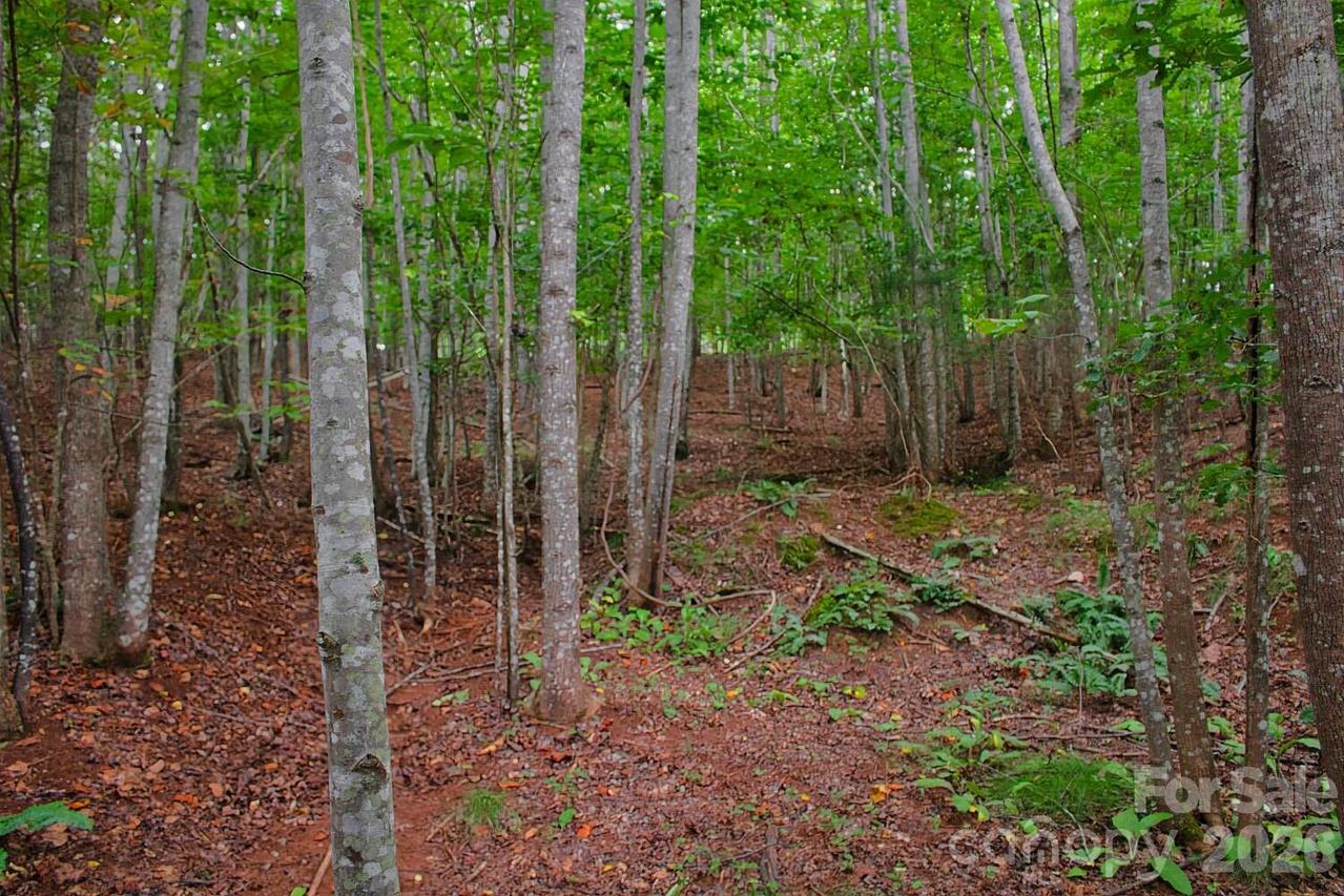 Creekside Cir. #110, Rutherfordton, NC 28139