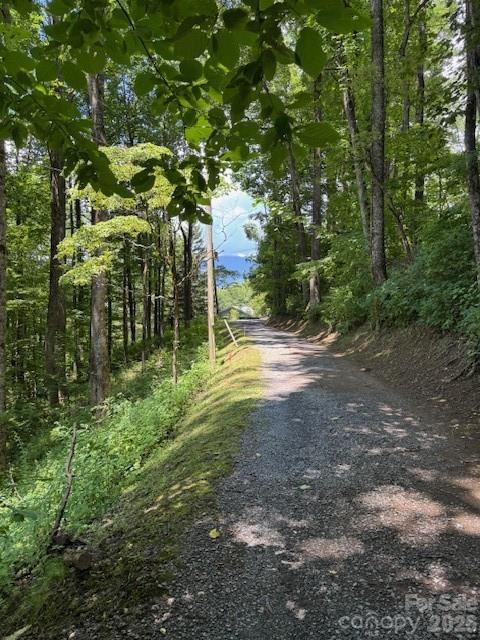 Lot 49 Rocky Ridge Rd. #49, Balsam, NC 28707