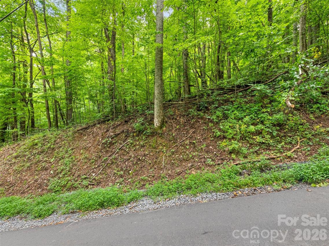 00 Dogwood Tr. #21&22, Waynesville, NC 28786