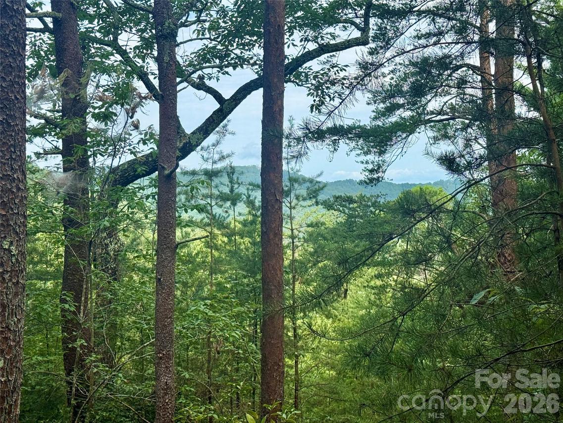 V/L Tahawus Dr. #92, Bostic, NC 28018