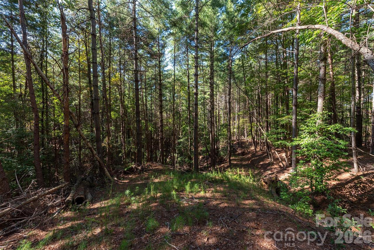 LOT #86 Crest View Dr., Nebo, NC 28761