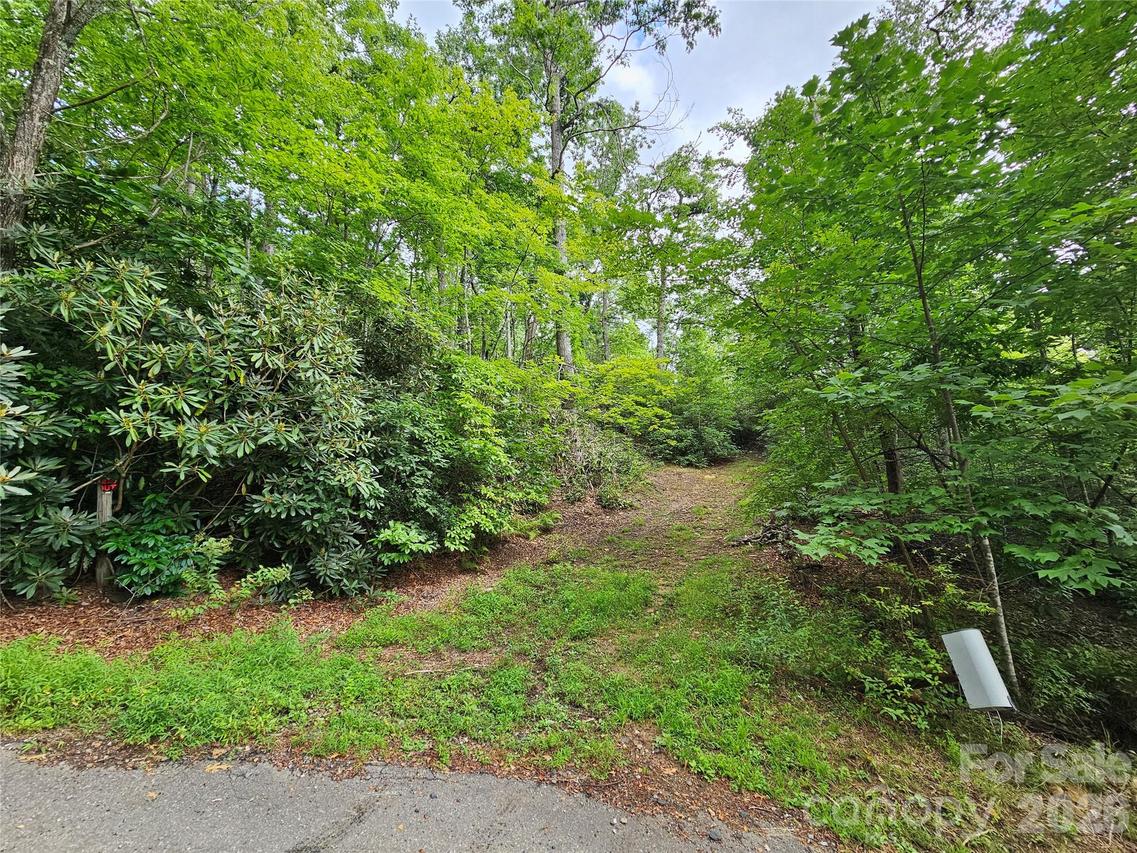 98 Down To Earth Dr., Burnsville, NC 28714