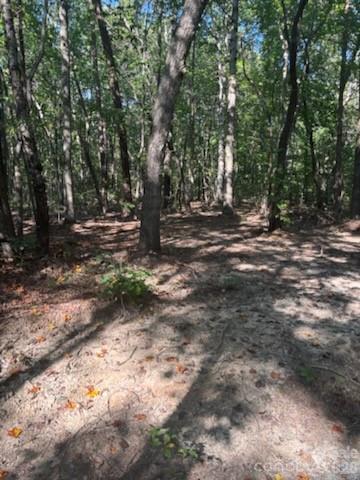TBD Bud Arndt Rd., Maiden, NC 28650