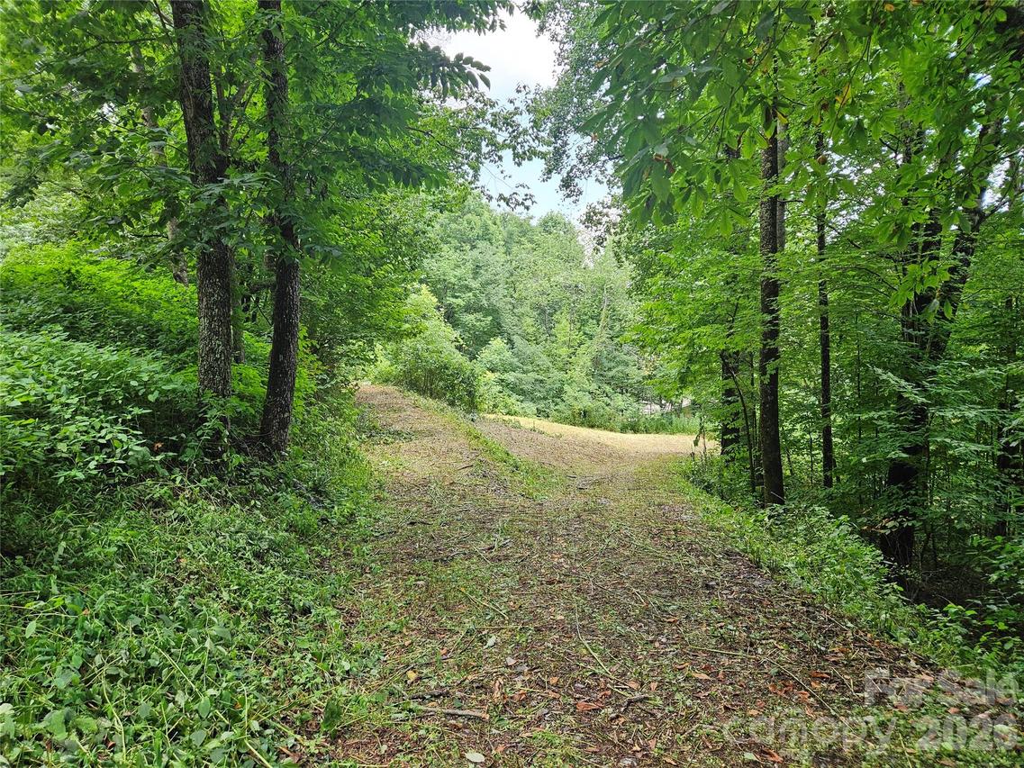 638 Crystal Tree Dr., Waynesville, NC 28785