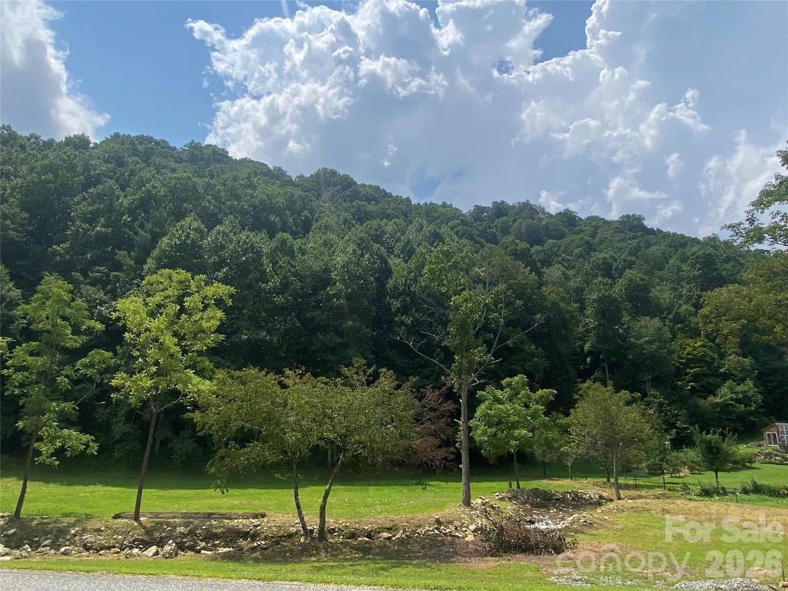 00 Foster Creek Rd., Marshall, NC 28753