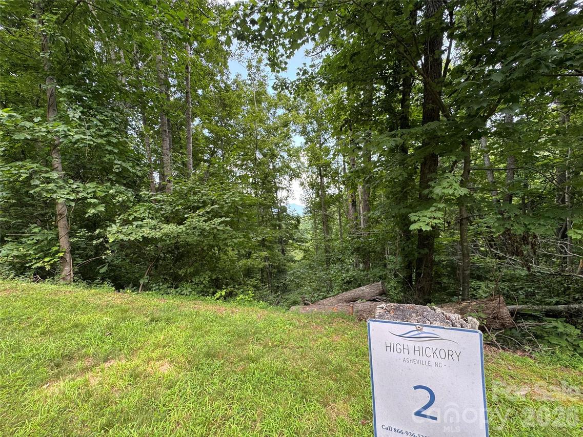 97 High Hickory Tr. #2, Swannanoa, NC 28778