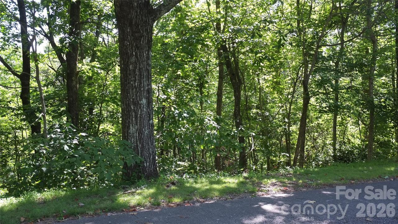 11 & 21 Sunset Ridge Dr. #21 & 11, Columbus, NC 28722