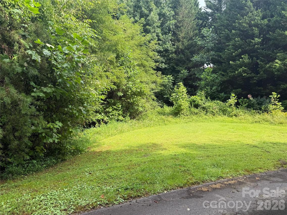 99999 White Oak Dr., Marshall, NC 28753