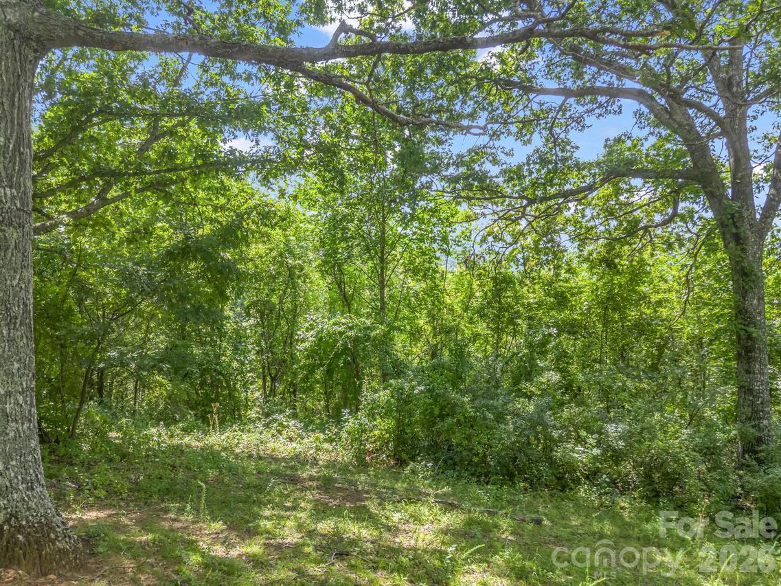 61 Sugar Maple Dr., Black Mountain, NC 28711