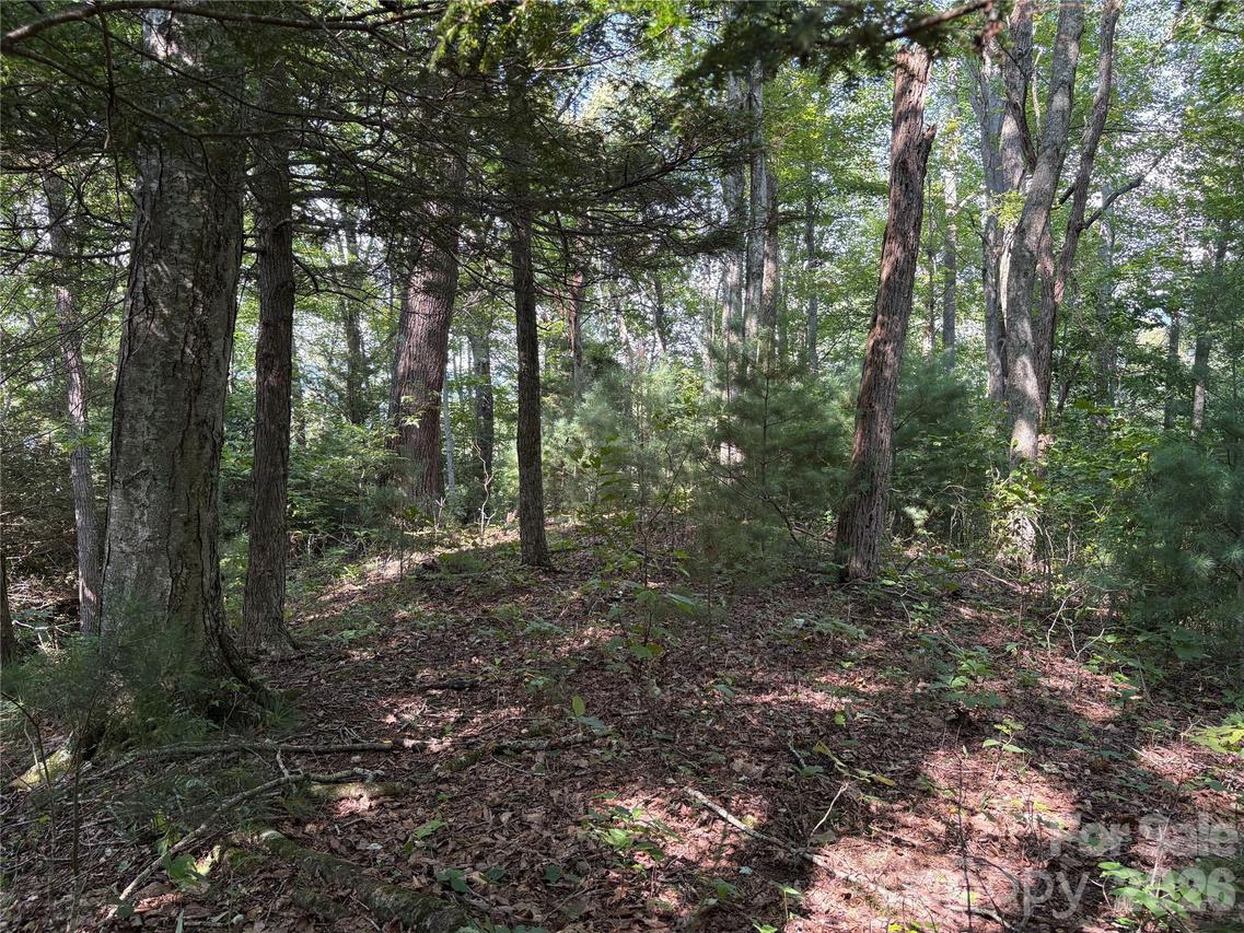 00 Early Frost Pl. #98, Waynesville, NC 28785