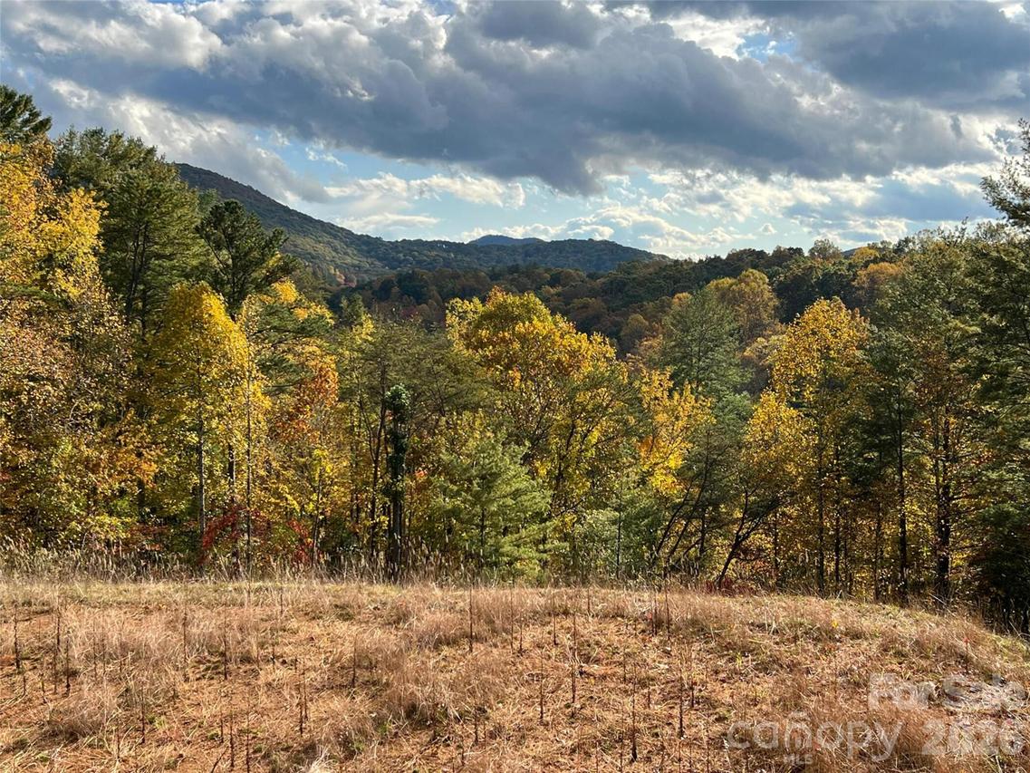 165 Riverbend Forest Dr. #11, Asheville, NC 28805