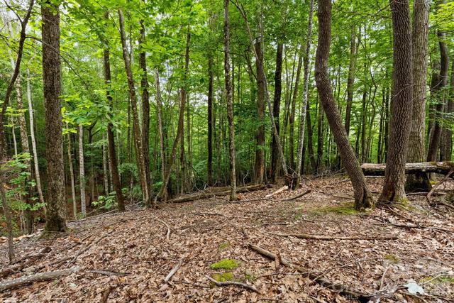 New Homes For Sale This Week in Beech Mountain: August 21st to August 27th