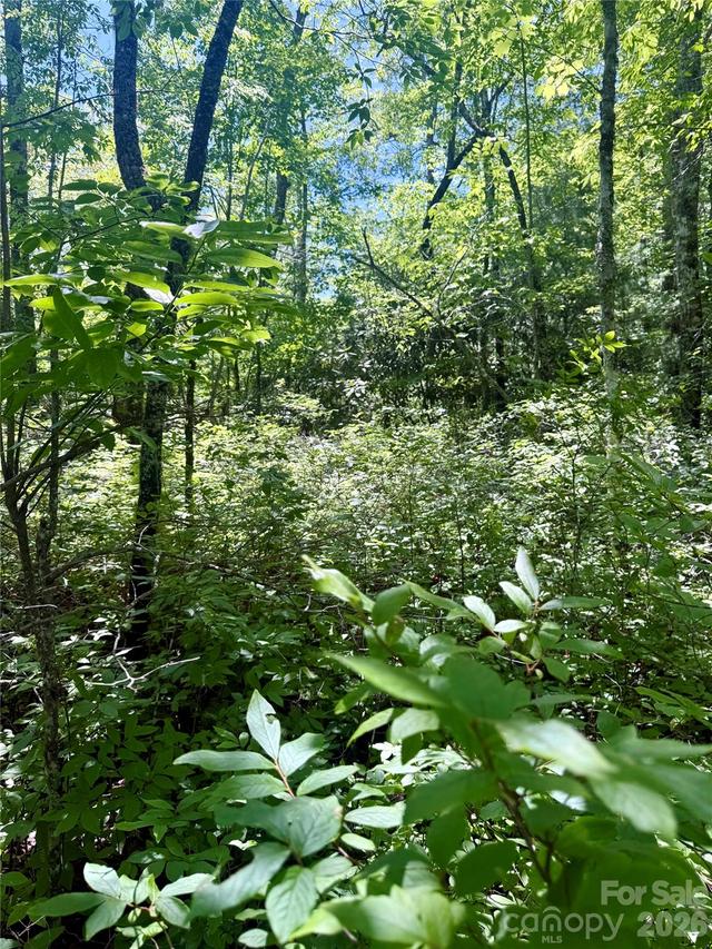 TBD Indian Lake Rd. #32, Lake Toxaway, NC 28747