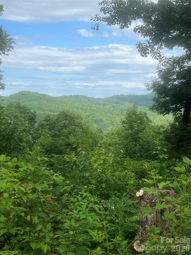 71, 72, 73 High Peak Rd., Hendersonville, NC 28792